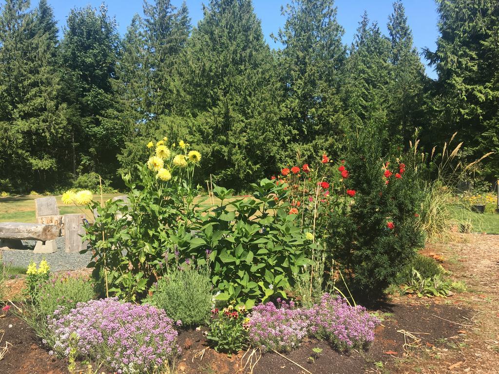 Ashling Cottage Qualicum Beach Exteriör bild