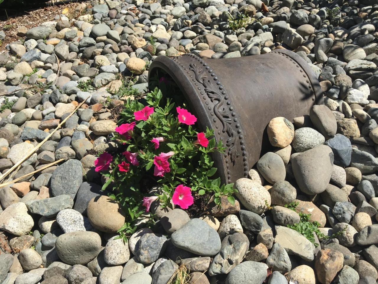 Ashling Cottage Qualicum Beach Exteriör bild